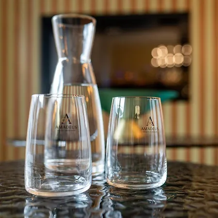 Amadeus Private Residences - 5 Minuten Bis Zur Ski-piste - Inklusive Garage, Skischuhtrockner, Hochwertiger Ausstattung - Sauna Ab Januar 2026 Апартаменти Шладмінг